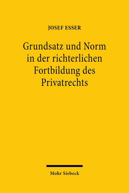 Produktbild: Grundsatz und Norm in der richterlichen Fortbildung des Privatrechts