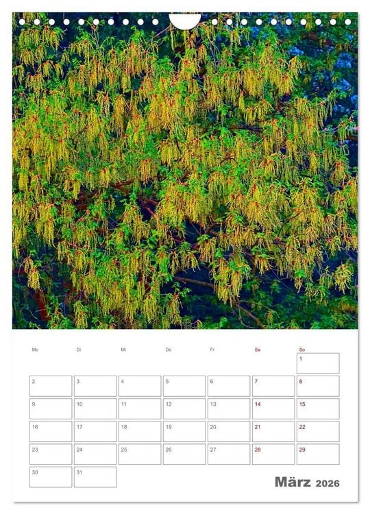 Produktbild: Planen mit dem Symbol der inneren St&auml;rke (Wandkalender 2026 DIN A4 hoch), CALVENDO Monatskalender