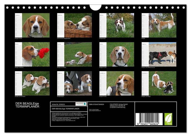 Produktbild: DER BEAGLEige TERMINPLANER (Wandkalender 2026 DIN A4 quer), CALVENDO Monatskalender