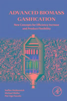 Produktbild: Heidenreich, S: Advanced Biomass Gasification