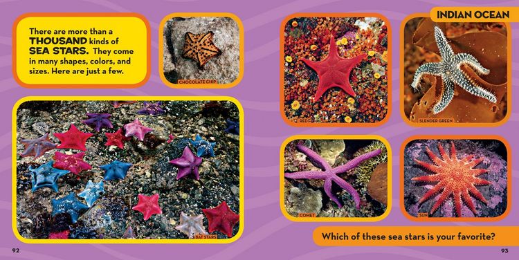 Produktbild: National Geographic Little Kids First Big Book of the Ocean