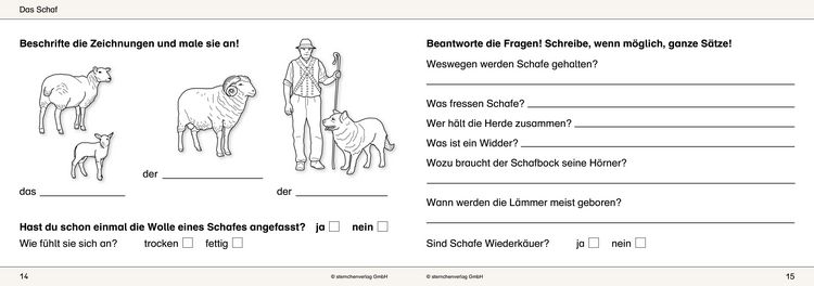 Produktbild: Ich kenne Waldtiere / Haus- und Hoftiere / Insekten und Spinnen - 3 Arbeitshefte im Set f&uuml;r die 2. bis 4. Klasse