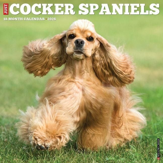 Produktbild: Cocker Spaniels 2026 Wall Calendar