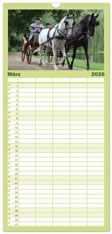 Produktbild: Familienplaner 2026 - CIAT - Historischer Fahrsport in Celle mit 5 Spalten (Wandkalender, 21 x 45 cm) CALVENDO