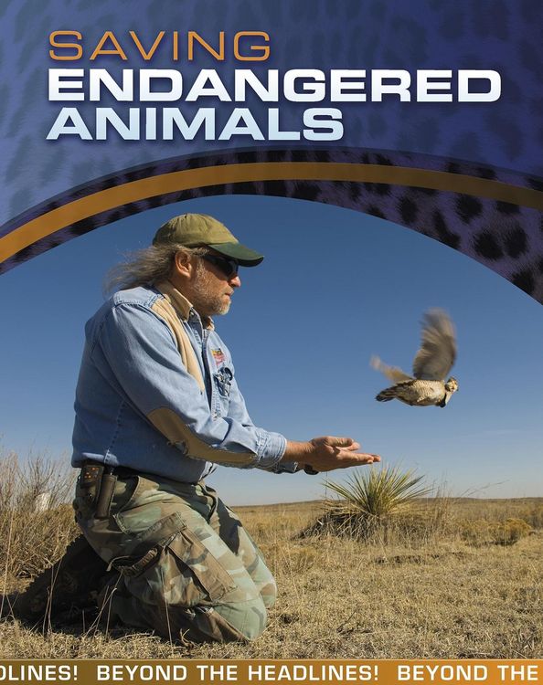 Produktbild: Saving Endangered Animals