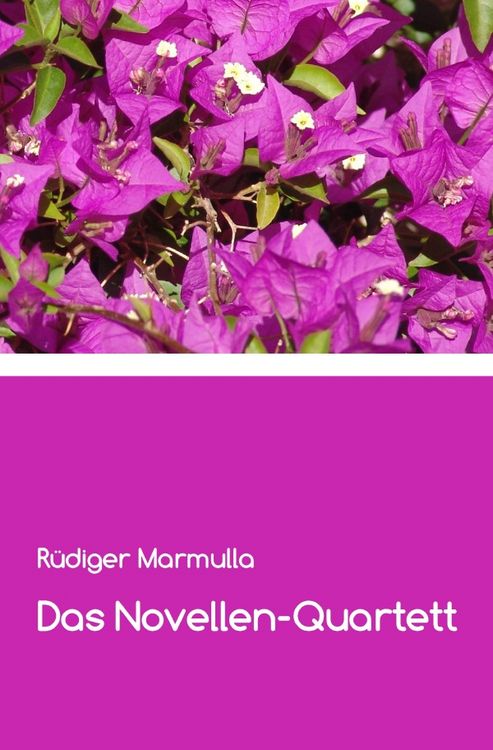 Produktbild: Das Novellen-Quartett