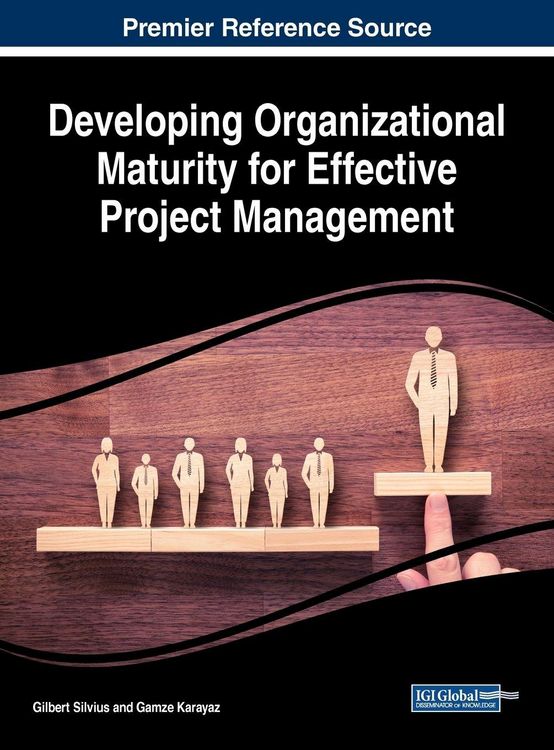 Produktbild: Developing Organizational Maturity for Effective Project Management