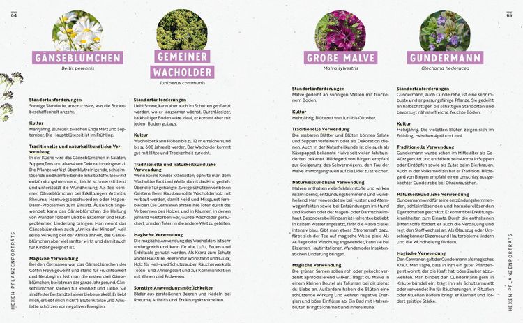 Produktbild: Gartenmomente: Magie im Garten
