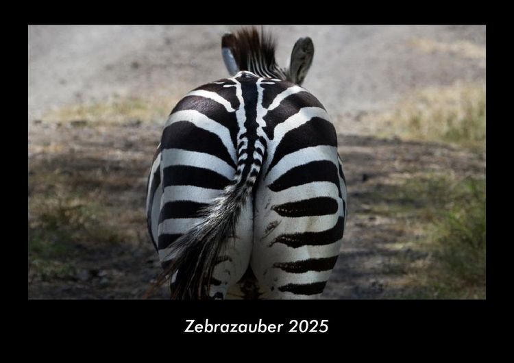Produktbild: Zebrazauber 2025 Fotokalender DIN A3