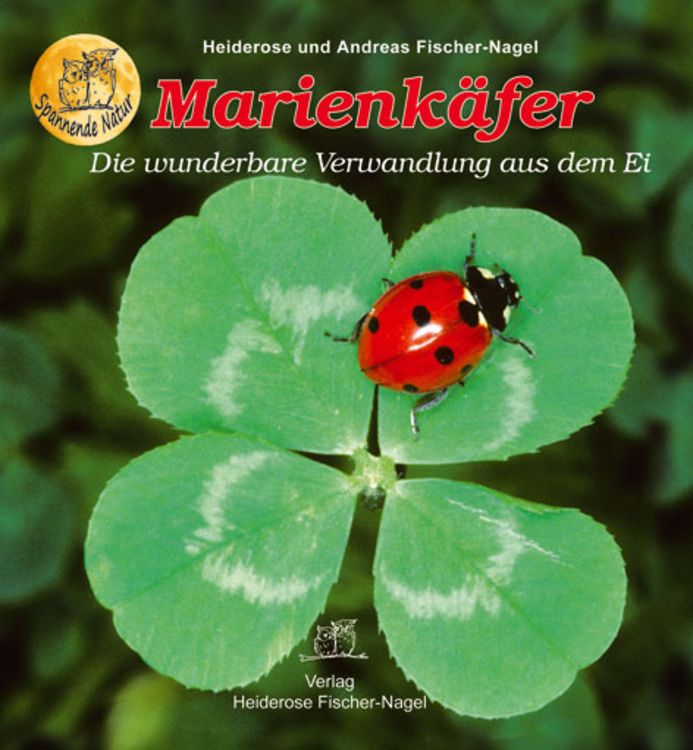 Produktbild: Marienk&auml;fer