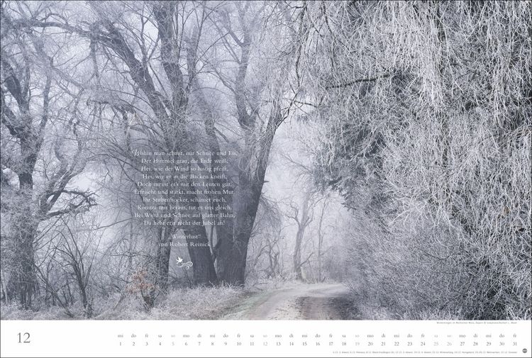 Produktbild: Der deutsche Wald - Ein literarischer Spaziergang Kalender 2027 - Ein literarischer Spaziergang