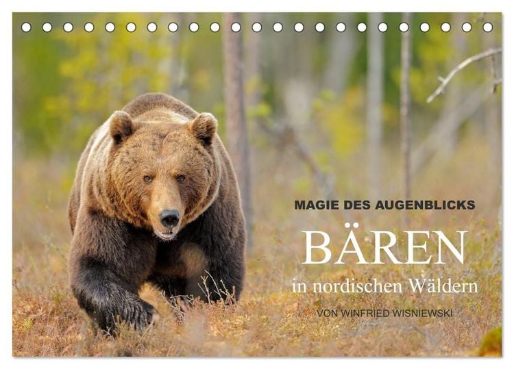 Produktbild: Magie des Augenblicks - B&auml;ren in nordischen W&auml;ldern (Tischkalender 2027 DIN A5 quer), CALVENDO Monatskalender