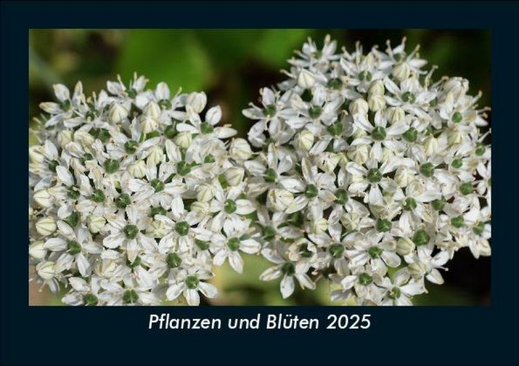 Produktbild: Pflanzen und Bl&uuml;ten 2025 Fotokalender DIN A5