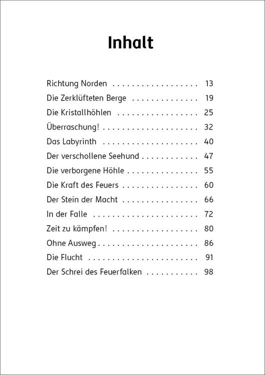 Der letzte Feuerfalke und die Kristallhöhlen (Band 2)