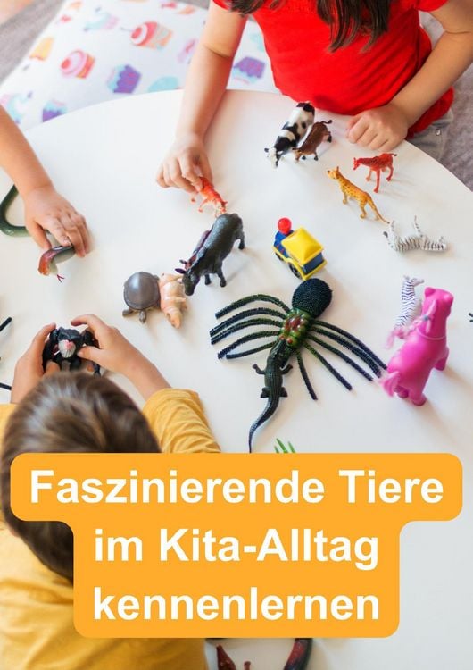 Produktbild: Schnecken