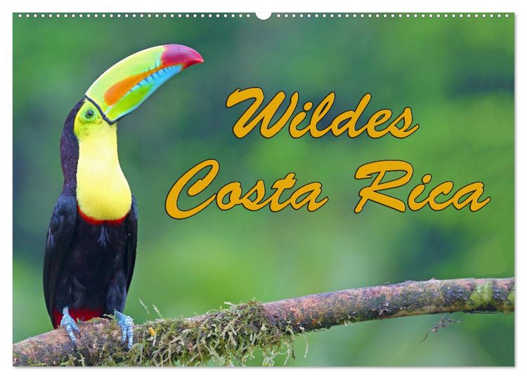 Produktbild: Wildes Costa Rica (Wandkalender 2026 DIN A2 quer), CALVENDO Monatskalender