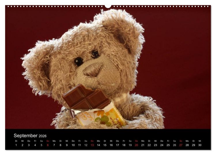 Produktbild: Herr Nopf ist da! (Wandkalender 2026 DIN A2 quer), CALVENDO Monatskalender