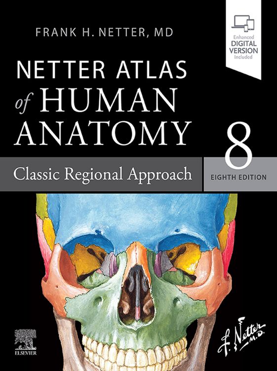 Produktbild: Netter Atlas of Human Anatomy: Classic Regional Approach - E-Book