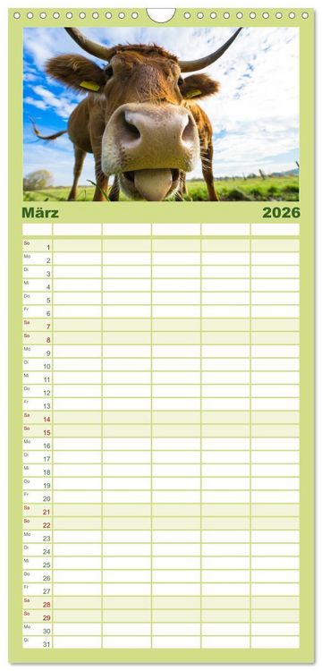 Produktbild: Familienplaner 2026 - Kuhckst du? mit 5 Spalten (Wandkalender, 21 x 45 cm) CALVENDO
