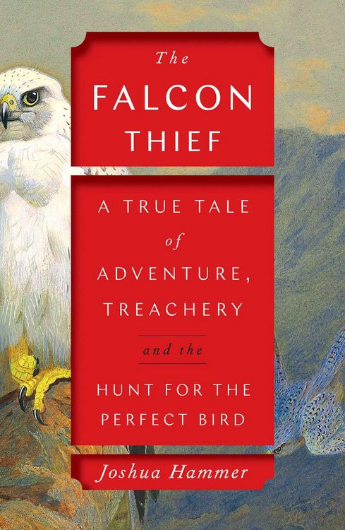 Produktbild: The Falcon Thief