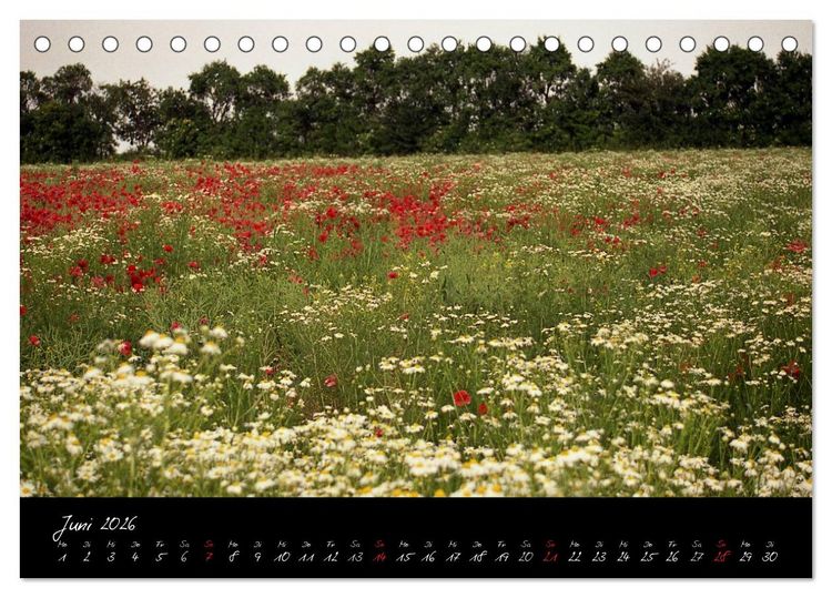 Produktbild: RH&Ouml;N = SCH&Ouml;N (Tischkalender 2026 DIN A5 quer), CALVENDO Monatskalender