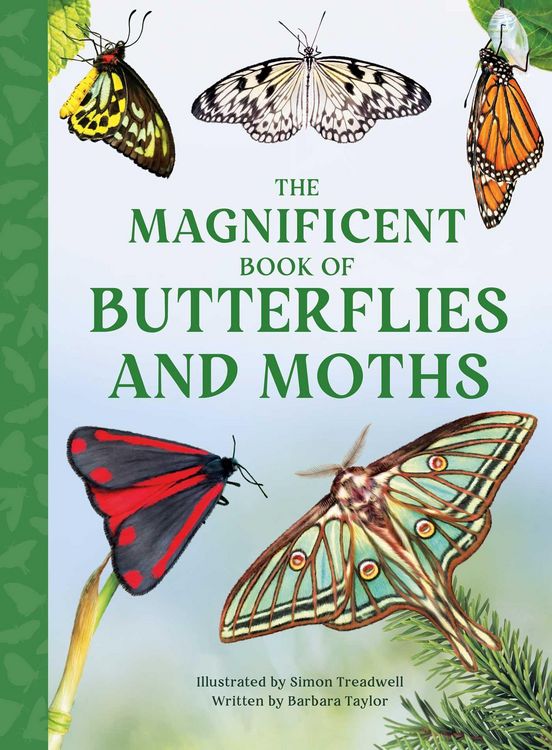 Produktbild: The Magnificent Book of Butterflies & Moths