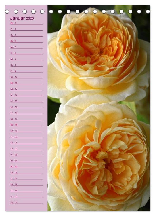 Produktbild: Rosen Symphonie (Tischkalender 2026 DIN A5 hoch), CALVENDO Monatskalender