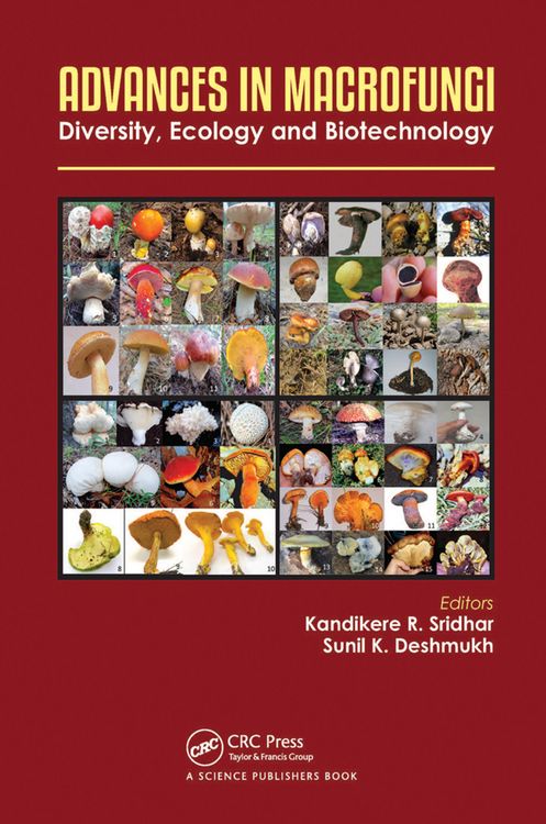 Produktbild: Advances in Macrofungi
