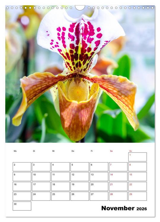 Produktbild: Orchideen - Tropische Sch&ouml;nheiten (Wandkalender 2026 DIN A3 hoch), CALVENDO Monatskalender
