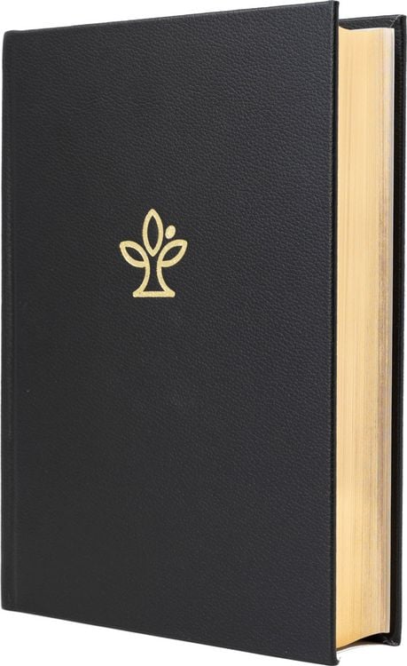 Produktbild: Die Bibel. Gro&szlig;druck. Mit Familienchronik.