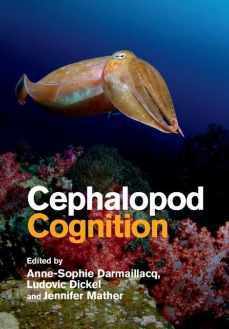 Produktbild: Cephalopod Cognition