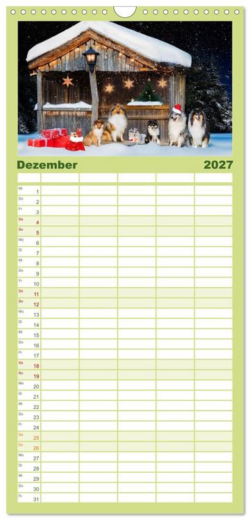 Produktbild: Familienplaner 2027 - Traumhund Collie - Mein bester Freund mit 5 Spalten (Wandkalender, 21 x 45 cm) CALVENDO