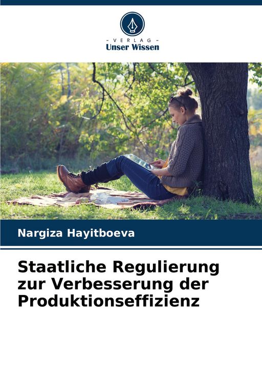 Produktbild: Staatliche Regulierung zur Verbesserung der Produktionseffizienz