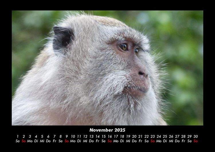 Produktbild: Bali 2025 Fotokalender DIN A3
