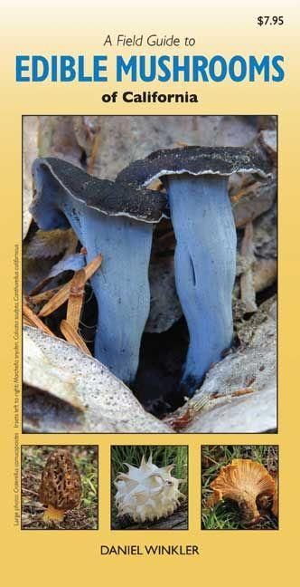 Produktbild: A Field Guide to Edible Mushrooms of California