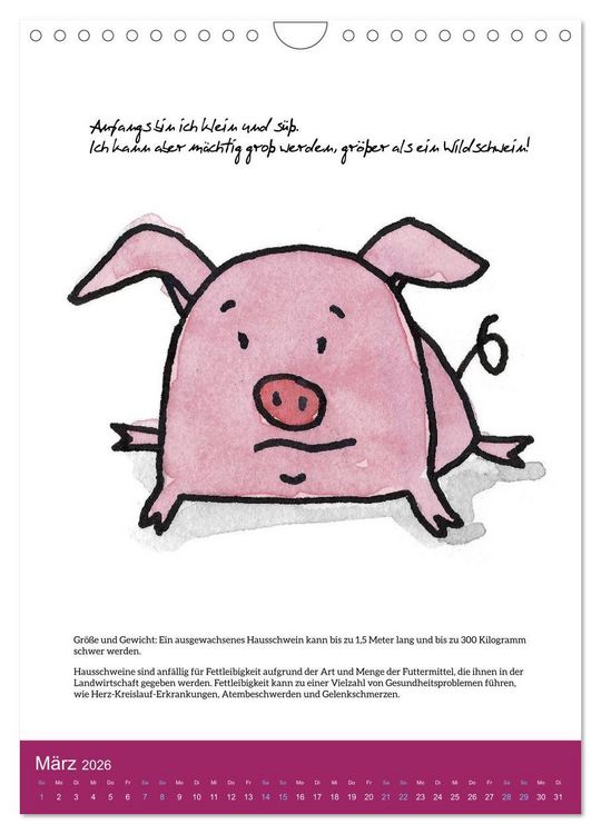 Produktbild: Schweinekalender - Alles was du &uuml;ber Schweine wissen wolltest! (Wandkalender 2026 DIN A4 hoch), CALVENDO Monatskalender