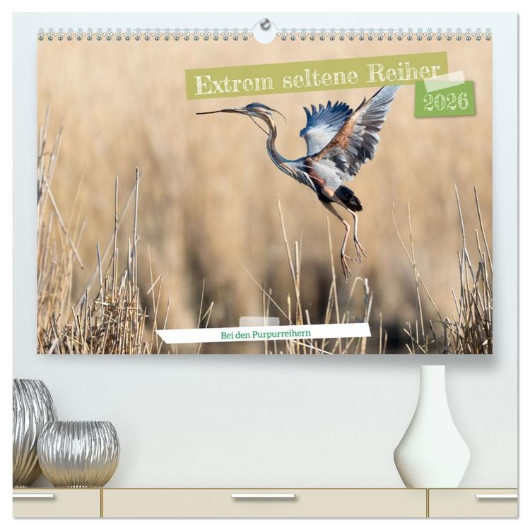 Produktbild: Extrem seltene Reiher (hochwertiger Premium Wandkalender 2026 DIN A2 quer), Kunstdruck in Hochglanz