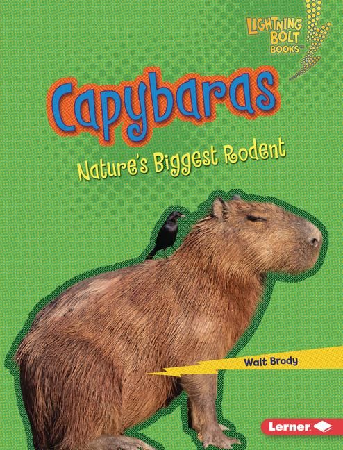 Produktbild: Capybaras