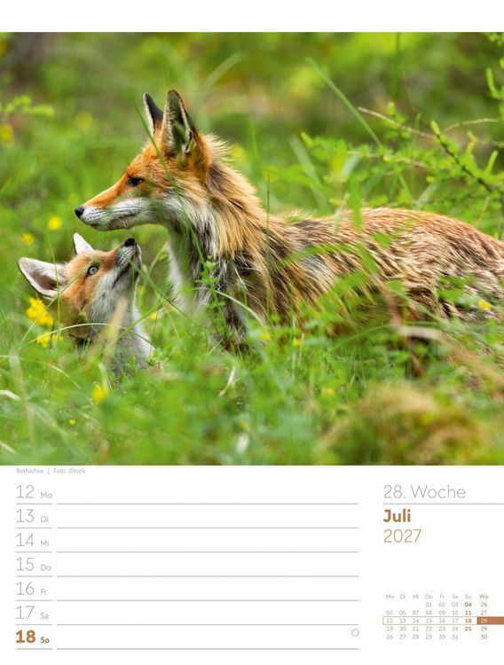 Produktbild: Unser Wald Wochenplaner Kalender 2027