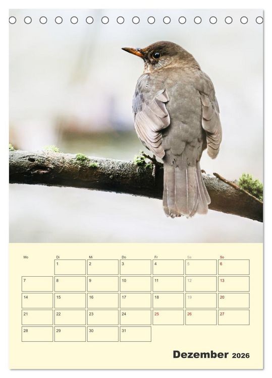 Produktbild: Vogelwelt an der Sieg (Tischkalender 2026 DIN A5 hoch), CALVENDO Monatskalender