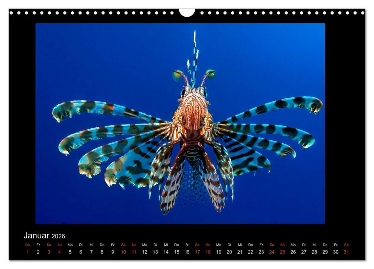 Produktbild: Ocean-Art / CH-Version (Wandkalender 2026 DIN A3 quer), CALVENDO Monatskalender
