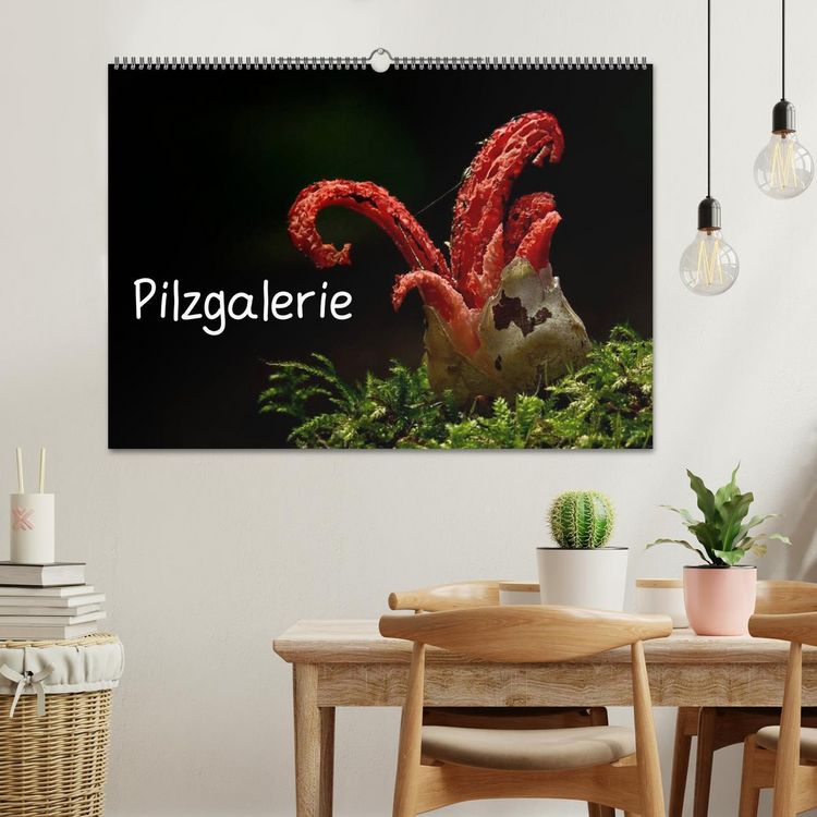 Produktbild: Pilzgalerie (Wandkalender 2026 DIN A2 quer), CALVENDO Monatskalender