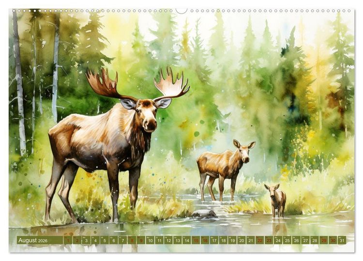 Produktbild: Zw&ouml;lf Monate im Wald (hochwertiger Premium Wandkalender 2026 DIN A2 quer), Kunstdruck in Hochglanz