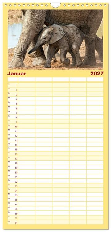 Produktbild: Familienplaner 2027 - Afrikas Tierwelt: Elefantenbabys mit 5 Spalten (Wandkalender, 21 x 45 cm) CALVENDO