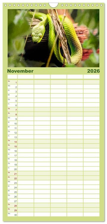 Produktbild: Familienplaner 2026 - Hallo Dschungel - Artwork mit 5 Spalten (Wandkalender, 21 x 45 cm) CALVENDO