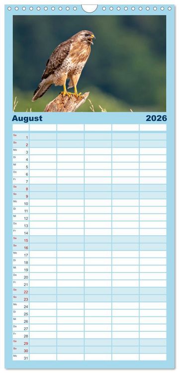 Produktbild: Familienplaner 2026 - Unsere Vogelvielfalt: Ein Schatz zum Entdecken und Sch&uuml;tzen mit 5 Spalten (Wandkalender, 21 x 45 cm) CALVENDO