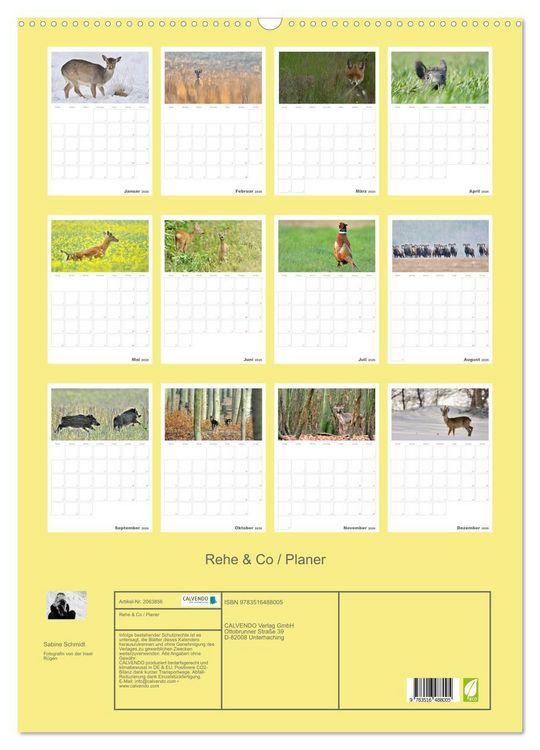 Produktbild: Rehe & Co / Planer (Wandkalender 2026 DIN A2 hoch), CALVENDO Monatskalender