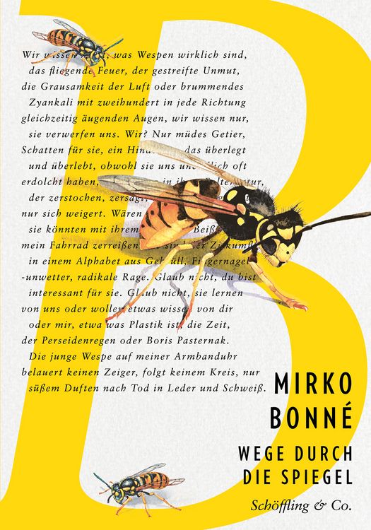 Produktbild: Wege durch die Spiegel