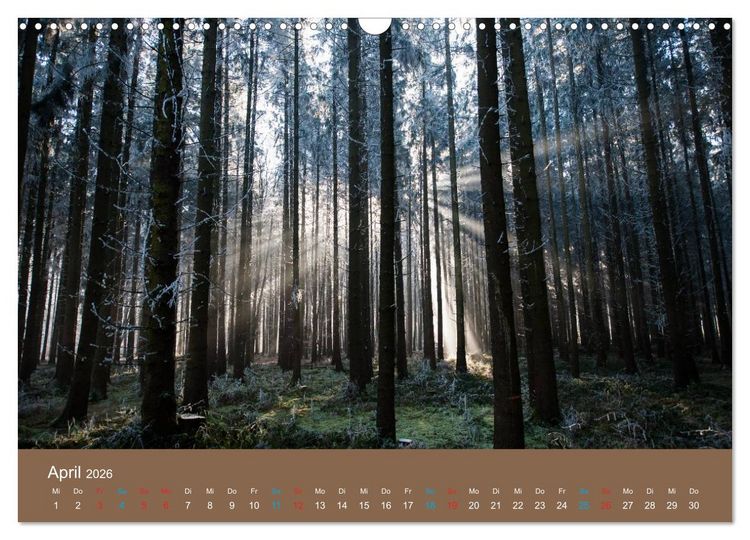 Produktbild: Fasziantion Natur (Wandkalender 2026 DIN A3 quer), CALVENDO Monatskalender