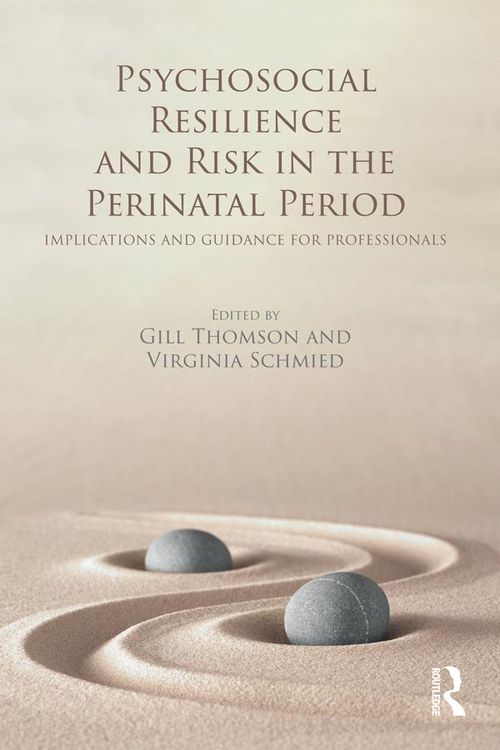 Produktbild: Psychosocial Resilience and Risk in the Perinatal Period